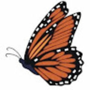 Meet your Posher, Krohn